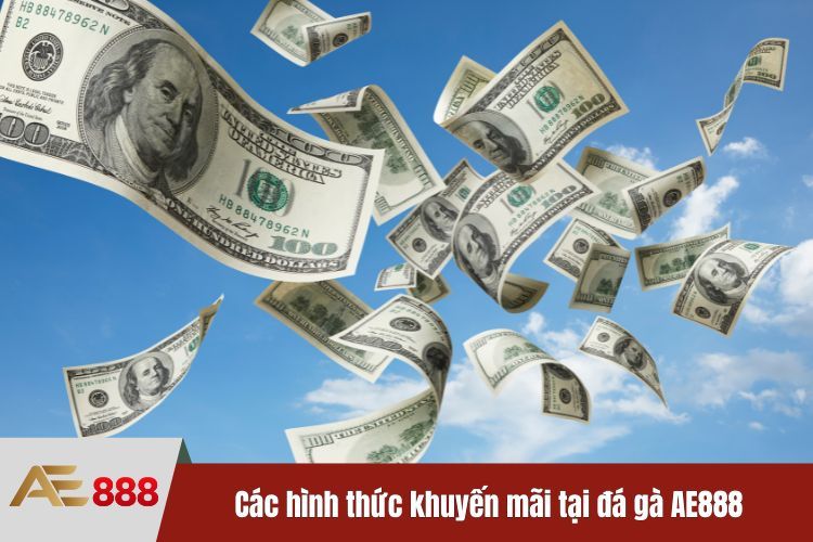 Các hình thức khuyến mãi tại đá gà AE888