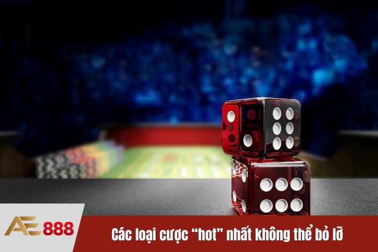 Các loại cược “hot” nhất không thể bỏ lỡ