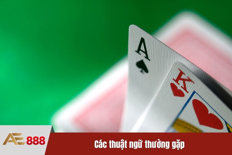 Các thuật ngữ thường gặp