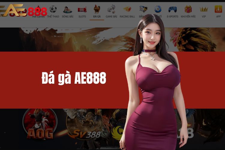 Đá Gà AE888 - Lựa Chọn Hoàn Hảo, Thỏa Sức Đam Mê Đá Gà