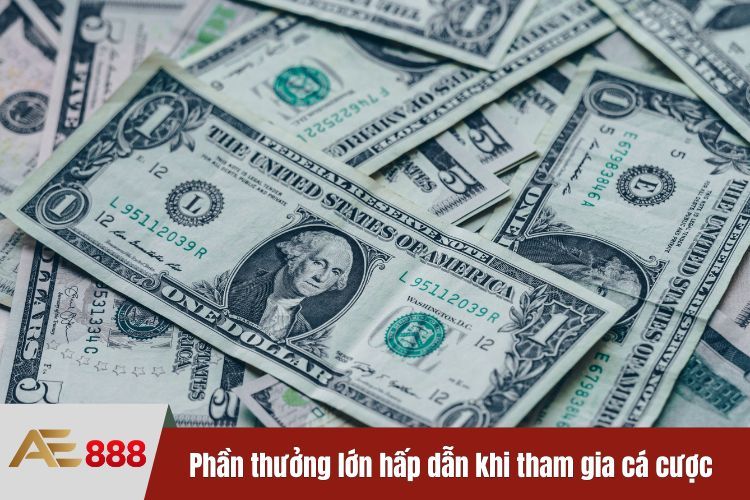 Phần thưởng lớn hấp dẫn khi tham gia cá cược